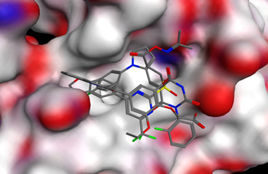 Arnold Group at the University of Wisconsin Milwaukee-Research: Virtual Screening